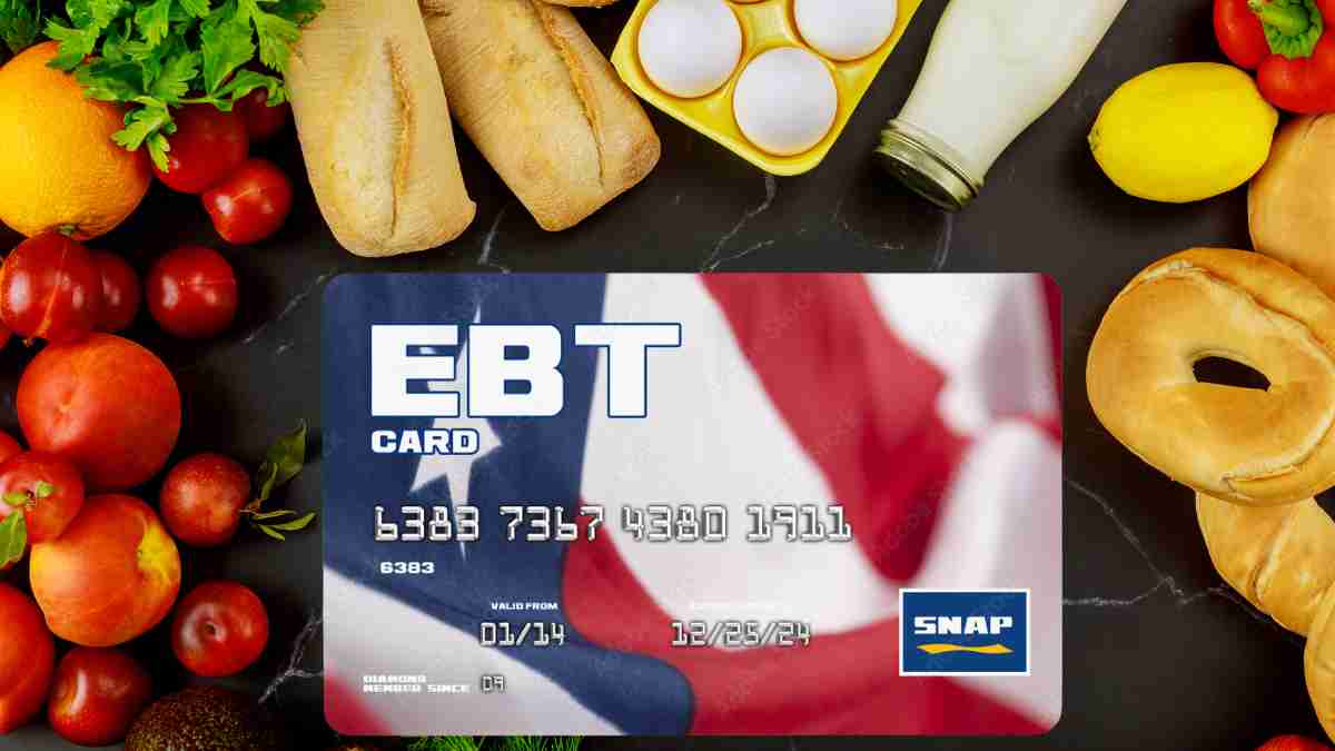 SNAP EBT card balance: the trick to check it fast and know how much you can spend