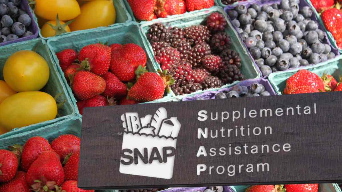 SNAP update: Here are the minimum payment amounts & deductions in 2025 in the U.S. after COLA