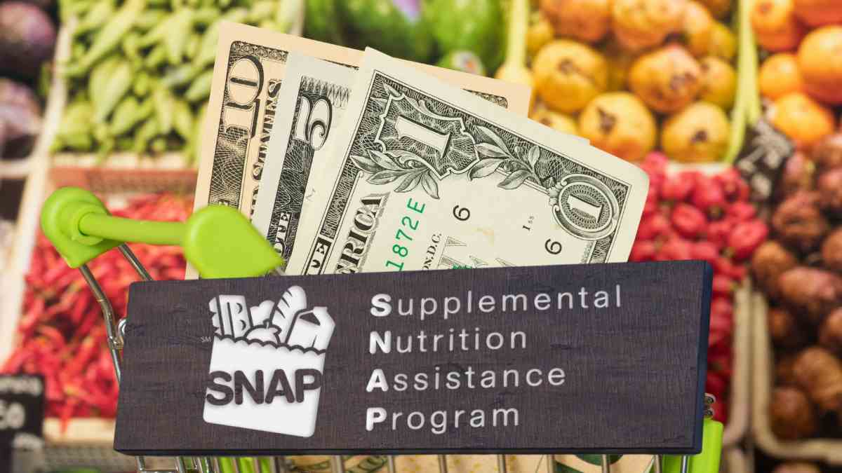 SNAP recertification: What to do if you need to renew your Food Stamps in the State of New York in 2025