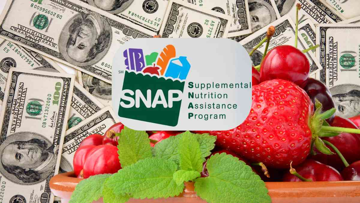 6 days for SNAP payments for individuals in the United States