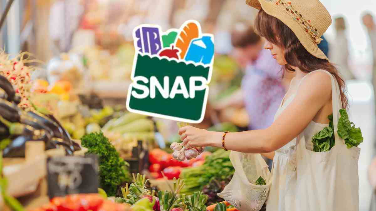 Texas SNAP Benefits: Payments for Individuals Continue Through March 28