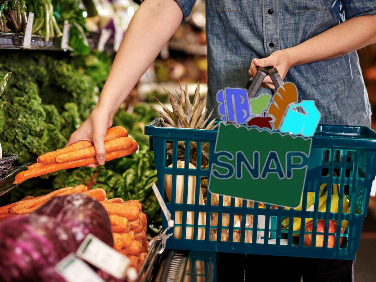 SNAP payments: Florida and Texas Send Checks to Those Who Qualify