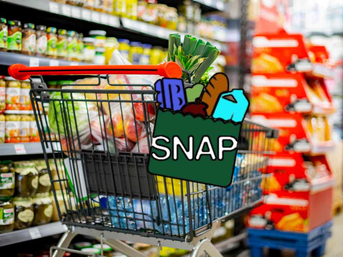 SNAP Recipients to Receive in Food Stamps on EBT Cards by March 23