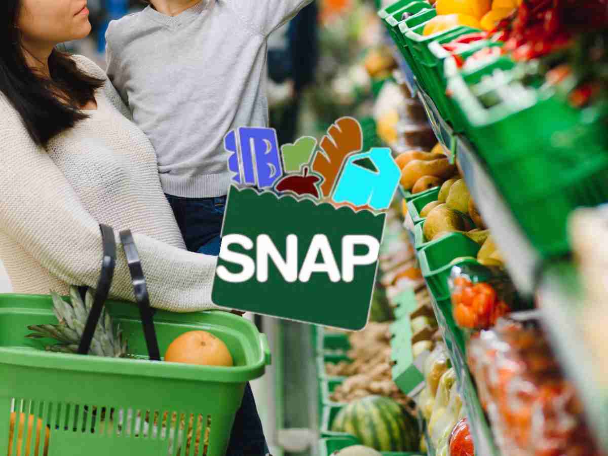 SNAP Monthly Payments from April 14: Food Stamps
