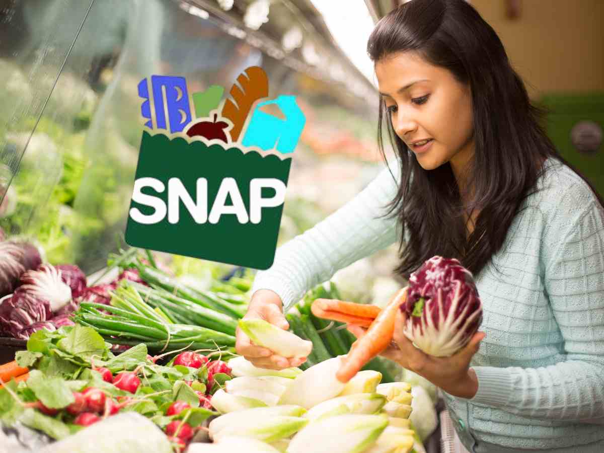 SNAP Payments Continue in May 2025: Check Food Stamps eligibility