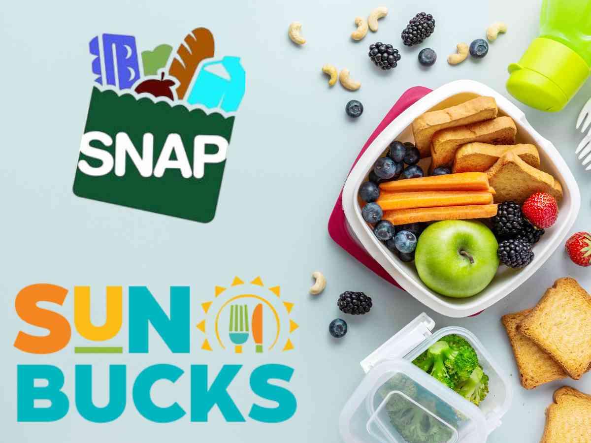 SUN Bucks While on SNAP benefits: States Where Payments Will Be Sent in Summer