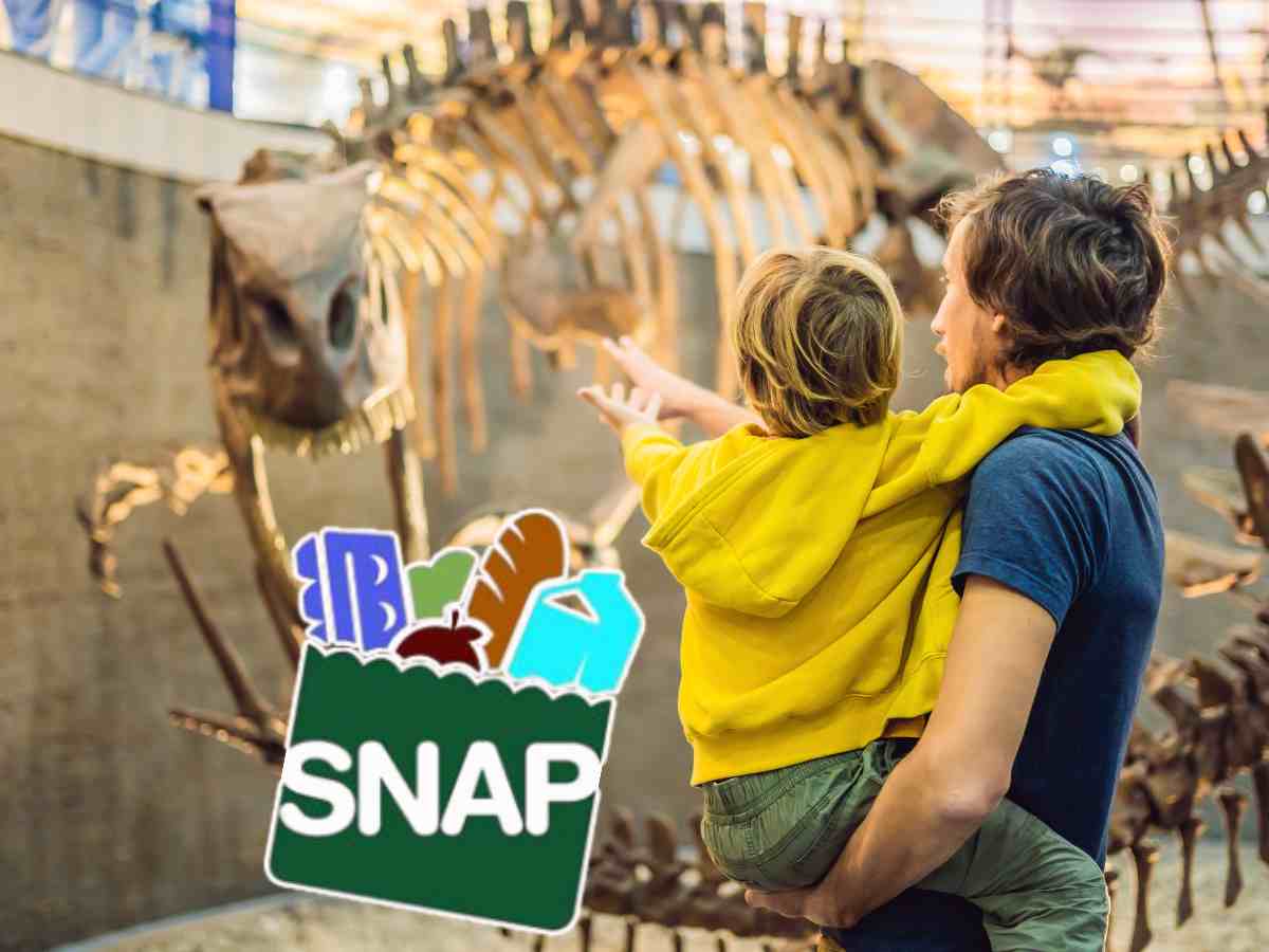 SNAP Benefits Can Help You Save Money During the Summer Holidays