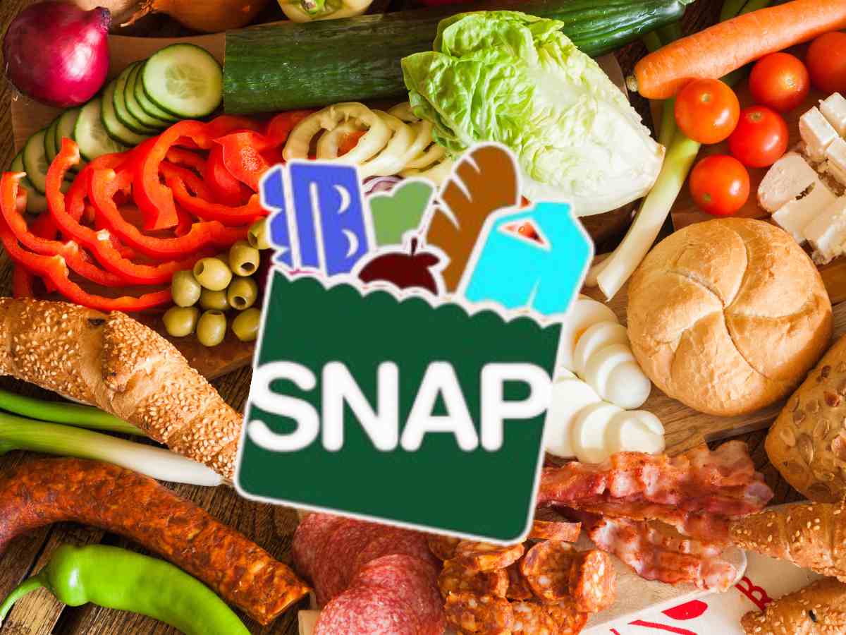 SNAP Checks Worth May 10-17: Food Stamps Available in These States