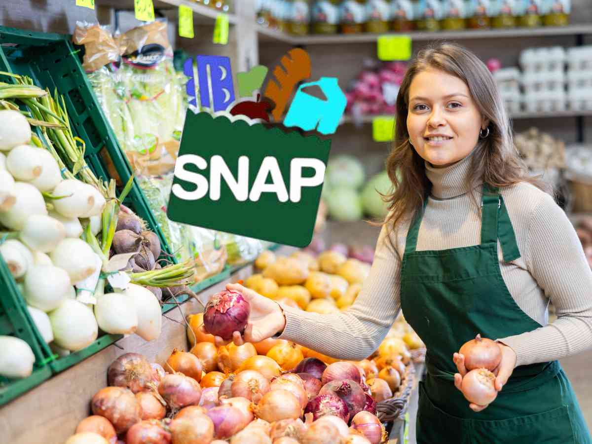 SNAP Payment Dates for Food Stamp Recipients from May 15-20