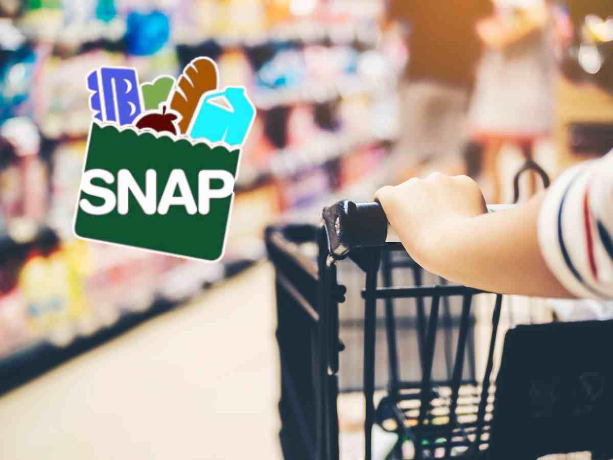 SNAP Payment Dates in June for Food Stamp Recipients in New York