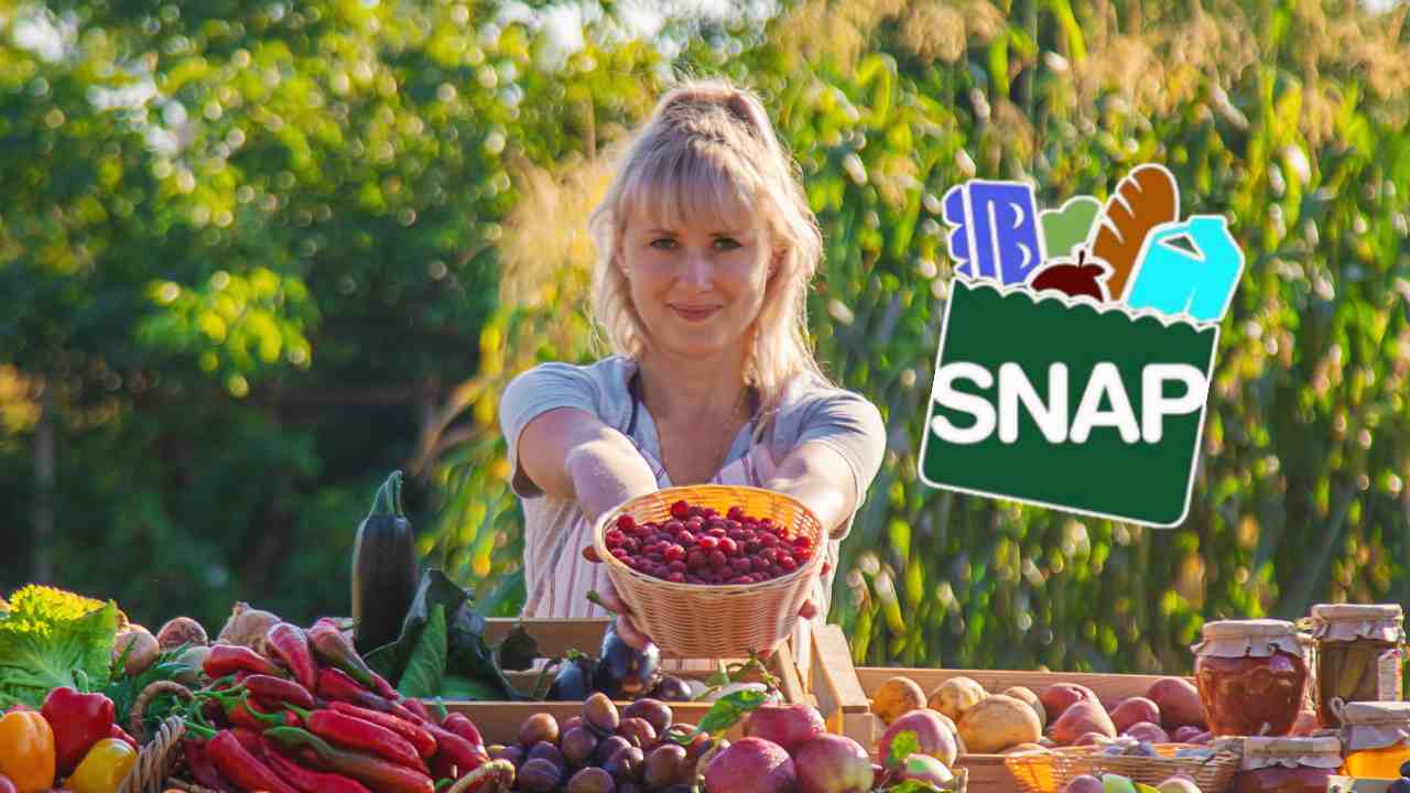 SNAP Payments from Mid-June and States issuing Food Stamps in July