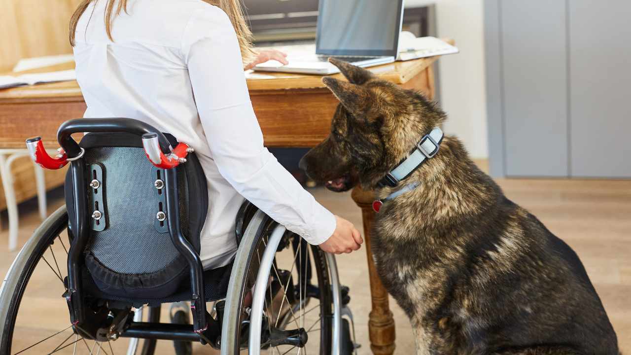 What’s the Full Schedule for SSDI Benefits in August 2025