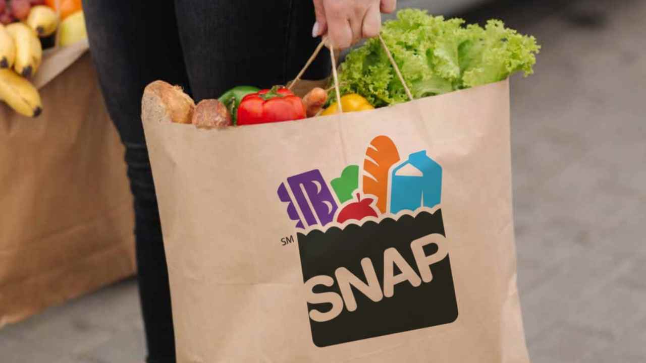 When Will the Next Round of SNAP Benefits Arrive in New York