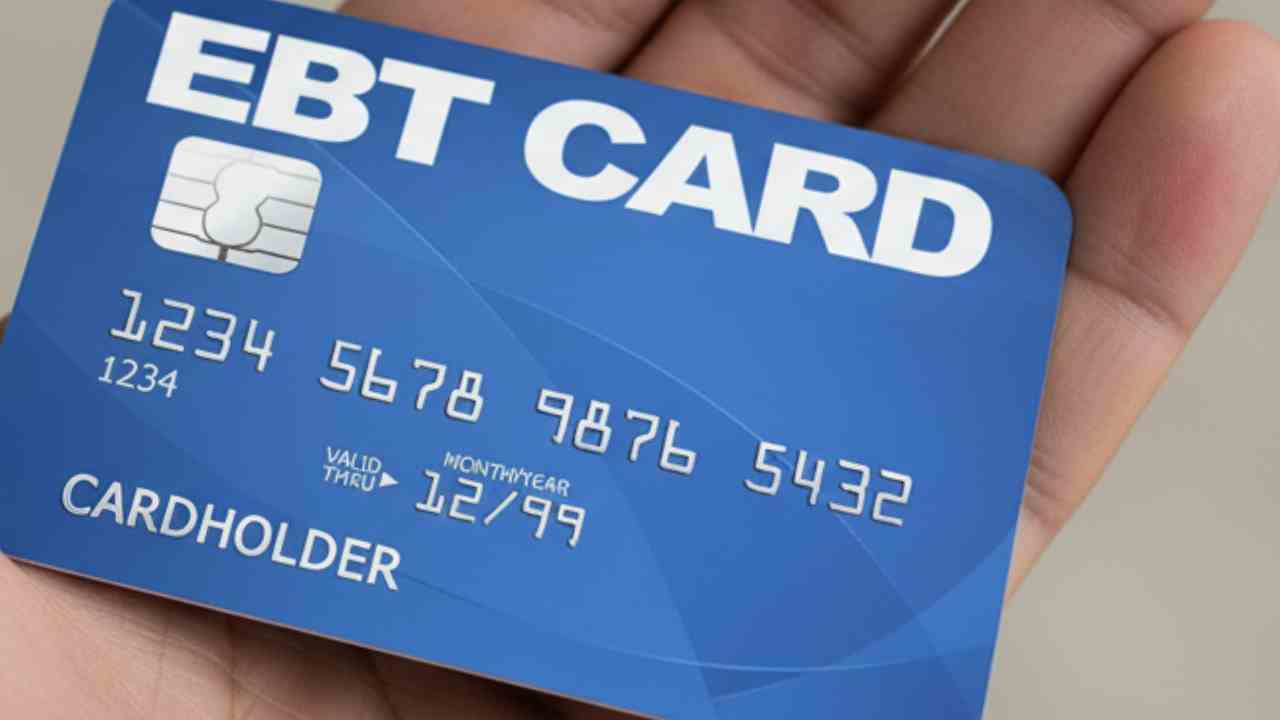 SNAP November 2025: Check Your State’s Payment Date Now Amid Government Shutdown