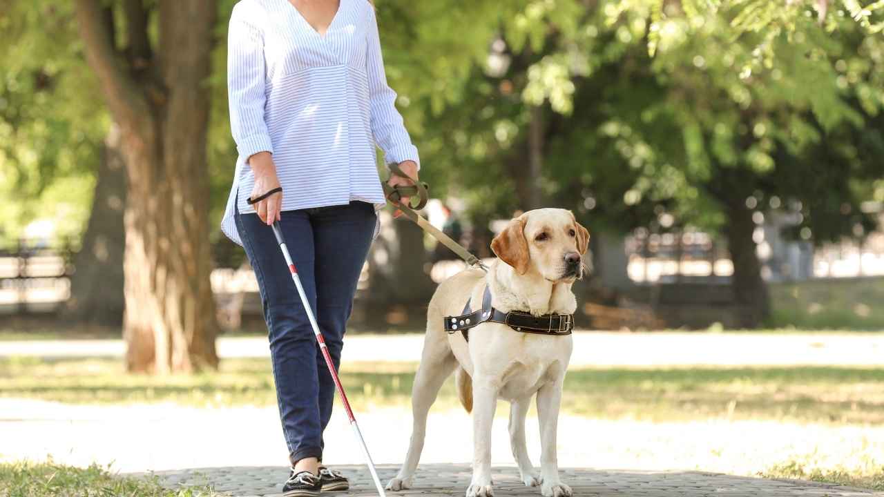 Millions of SSDI Recipients Will See Their April Deposits Land in Just Hours