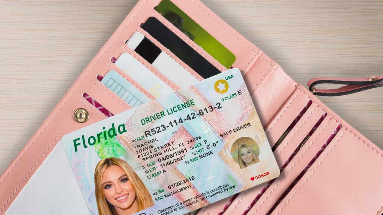 Over 3 Million Floridans Need to Check Their Driver’s License Before the 2026 Elections